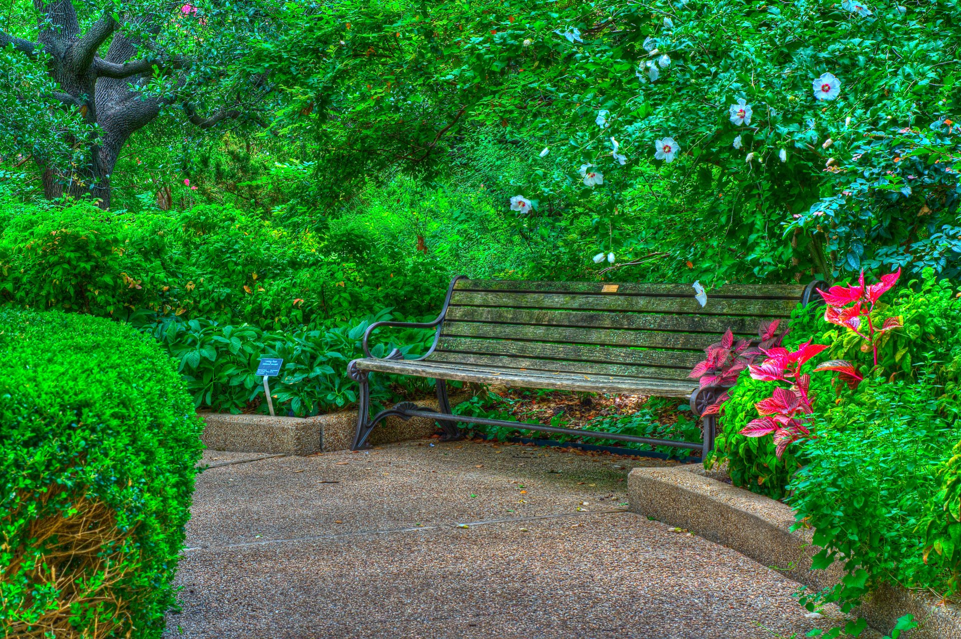 park tree bush bench flower hdr