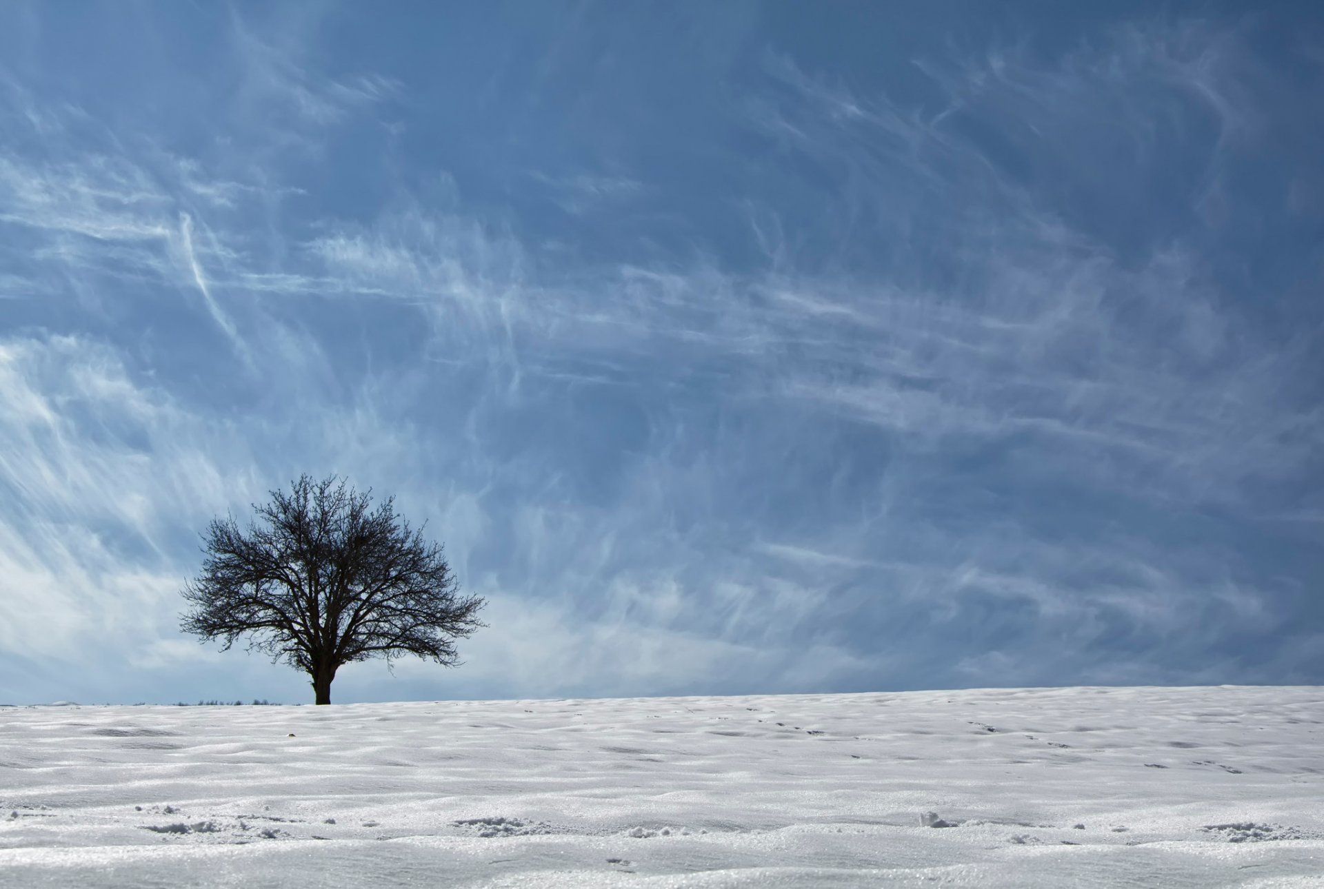 kurdistan regione etnogeografica asia albero neve cielo