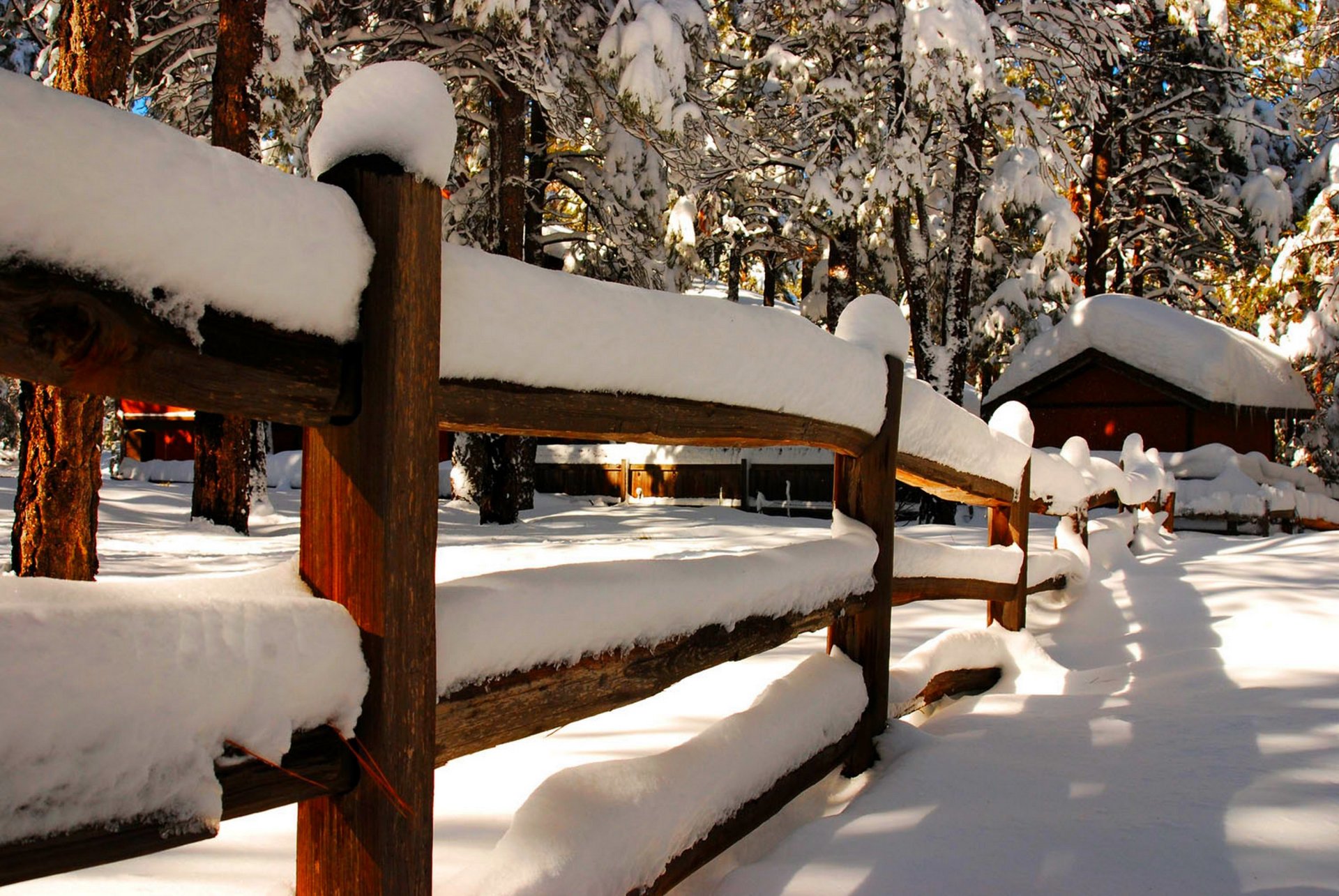 naturaleza invierno nieve cielo paisaje invierno blanco fresco agradable casa