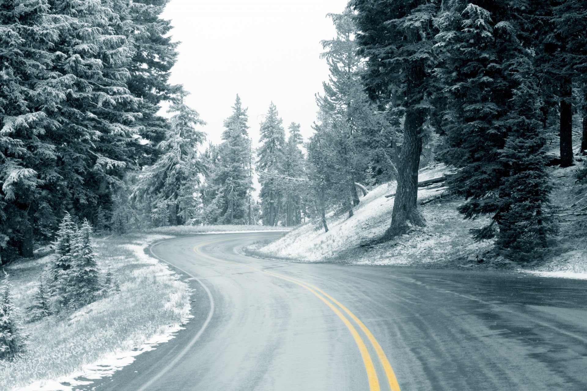 road winter snow forest