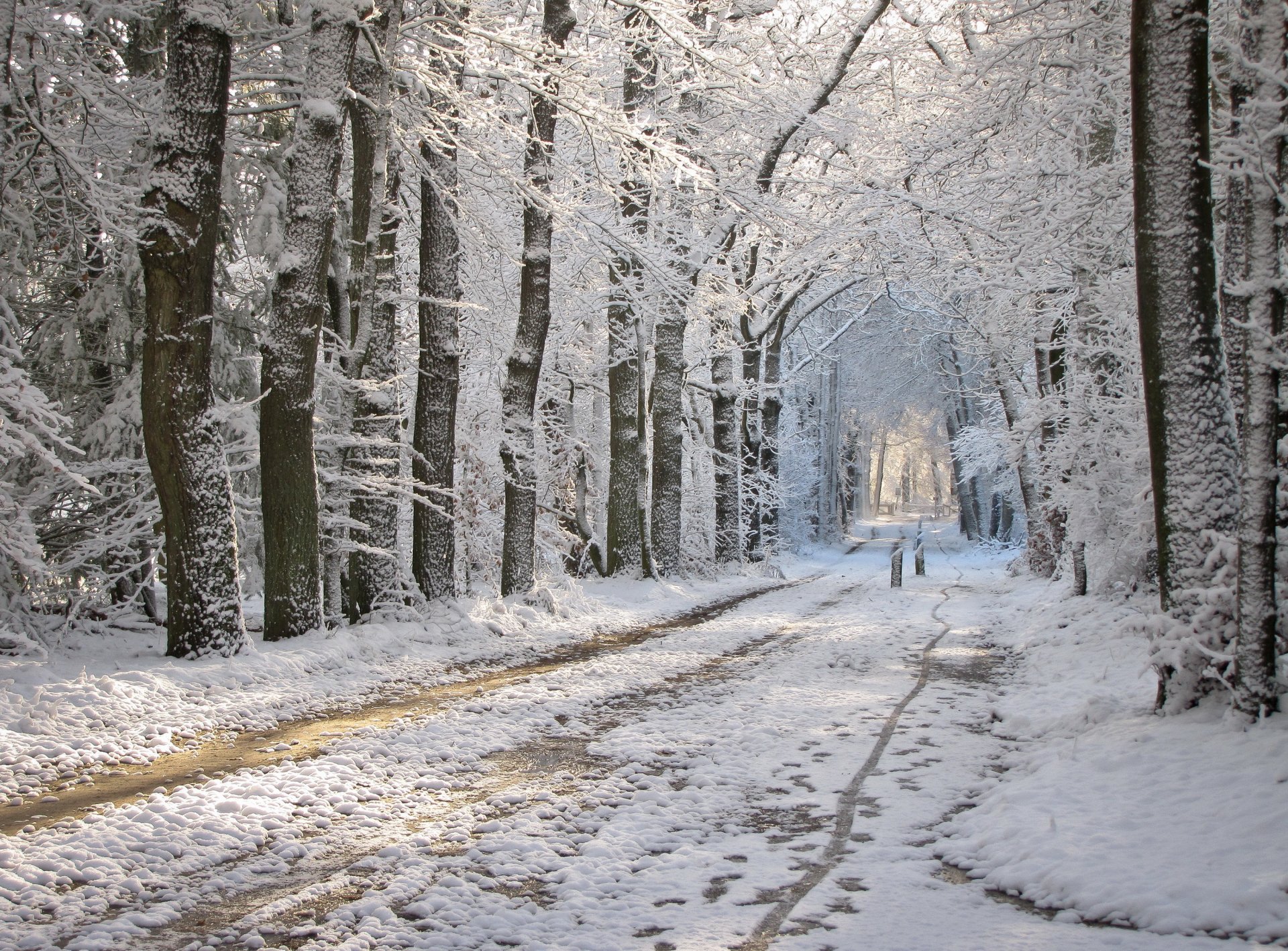 winter park straße schnee protalins