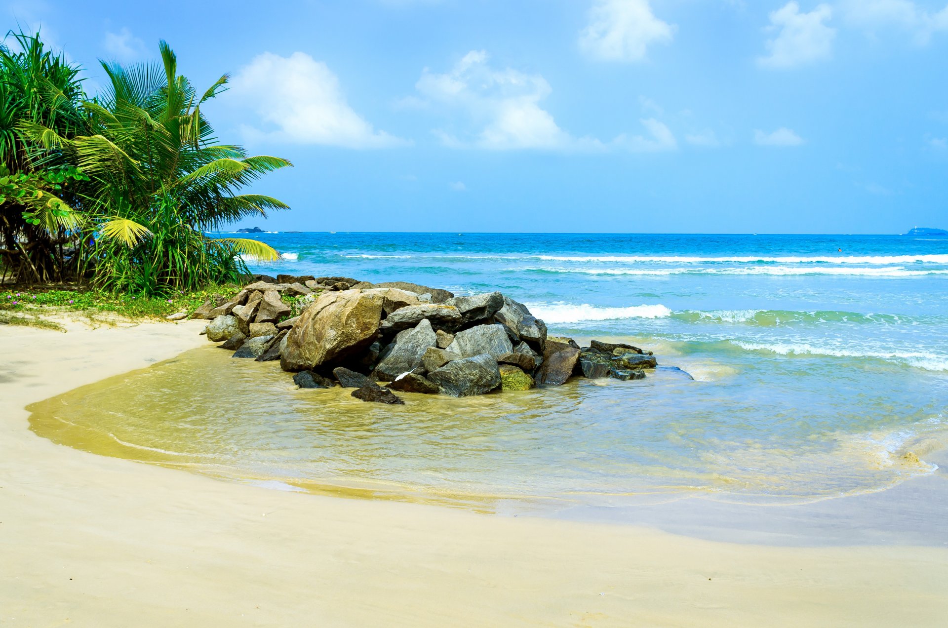 tropical paradis plage palmiers mer océan soleil été vacances tropiques sable rivage