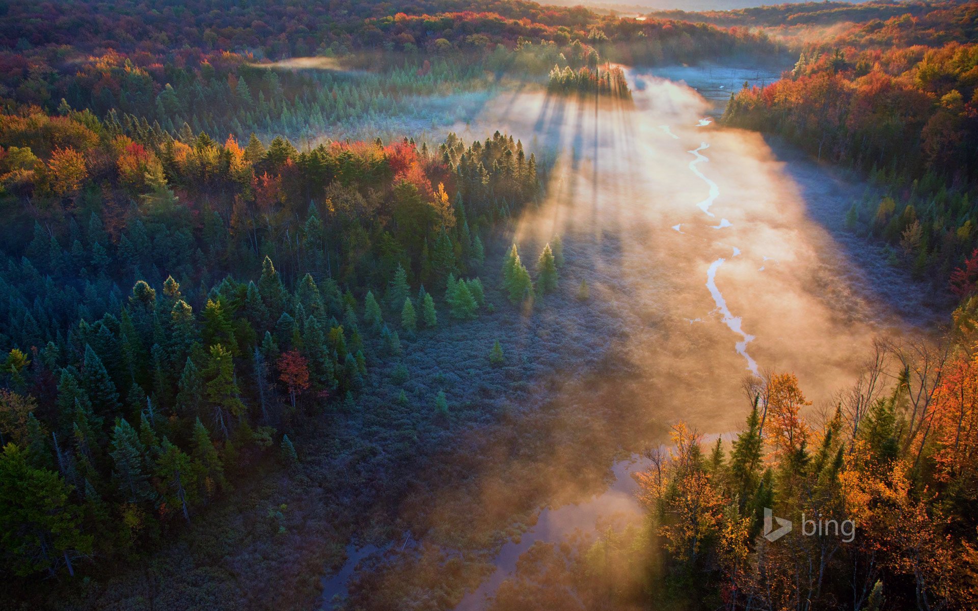 beaver meadow green mountain national forest vermont united states forest tree river sunset rays autumn