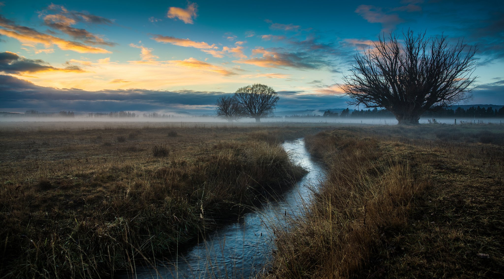 cielo nubes resplandor campo niebla arroyo árboles