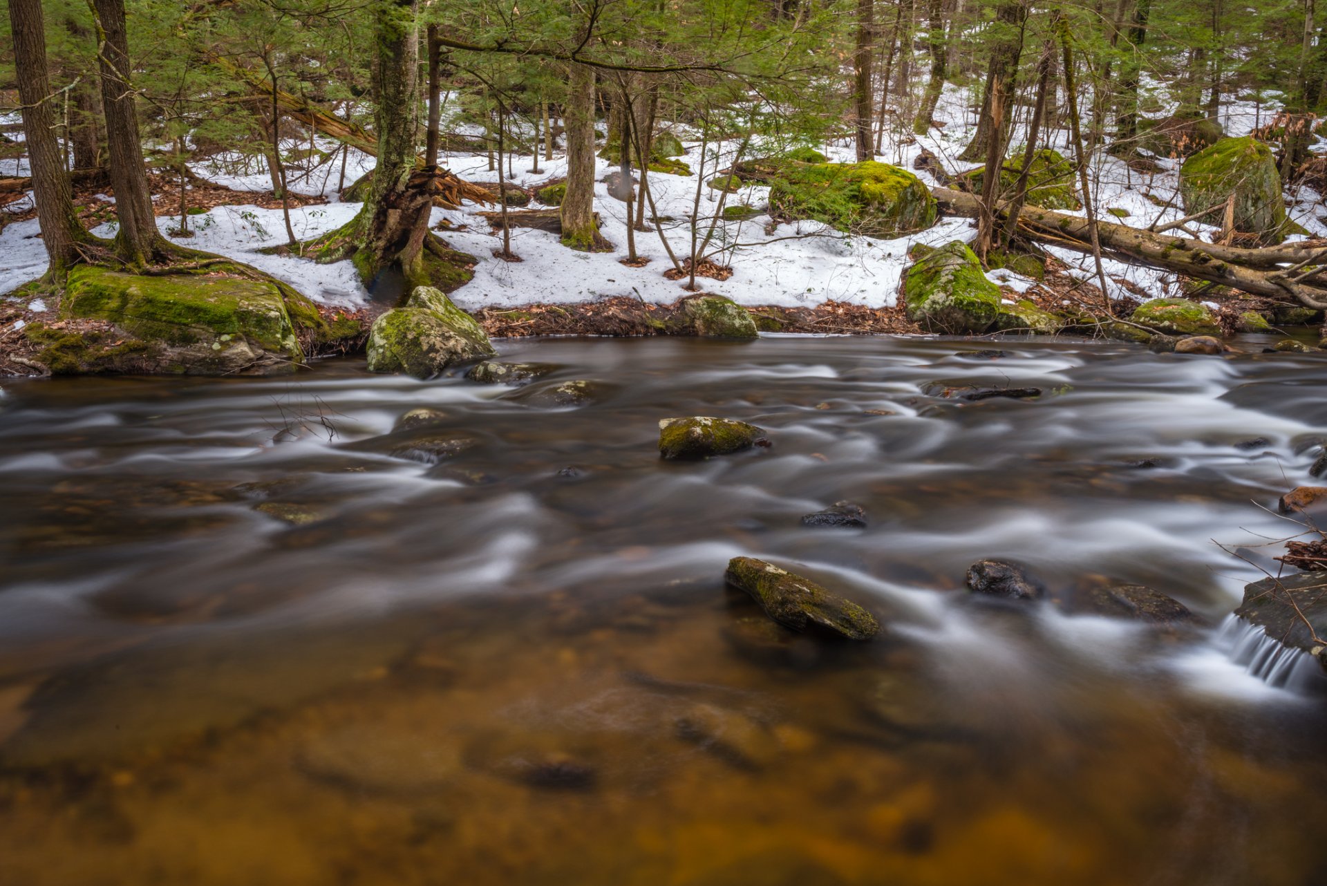 wald frühling schnee fluss strom