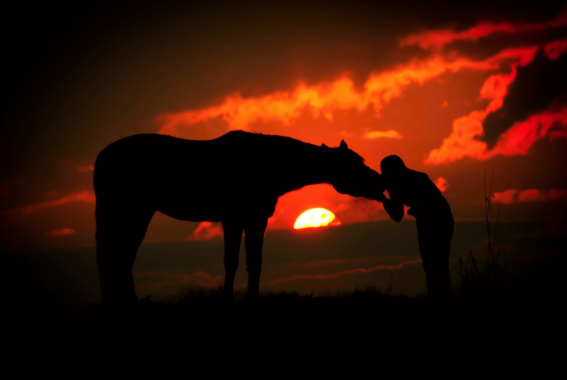 sagome ragazza tramonto cavallo nuvole sole