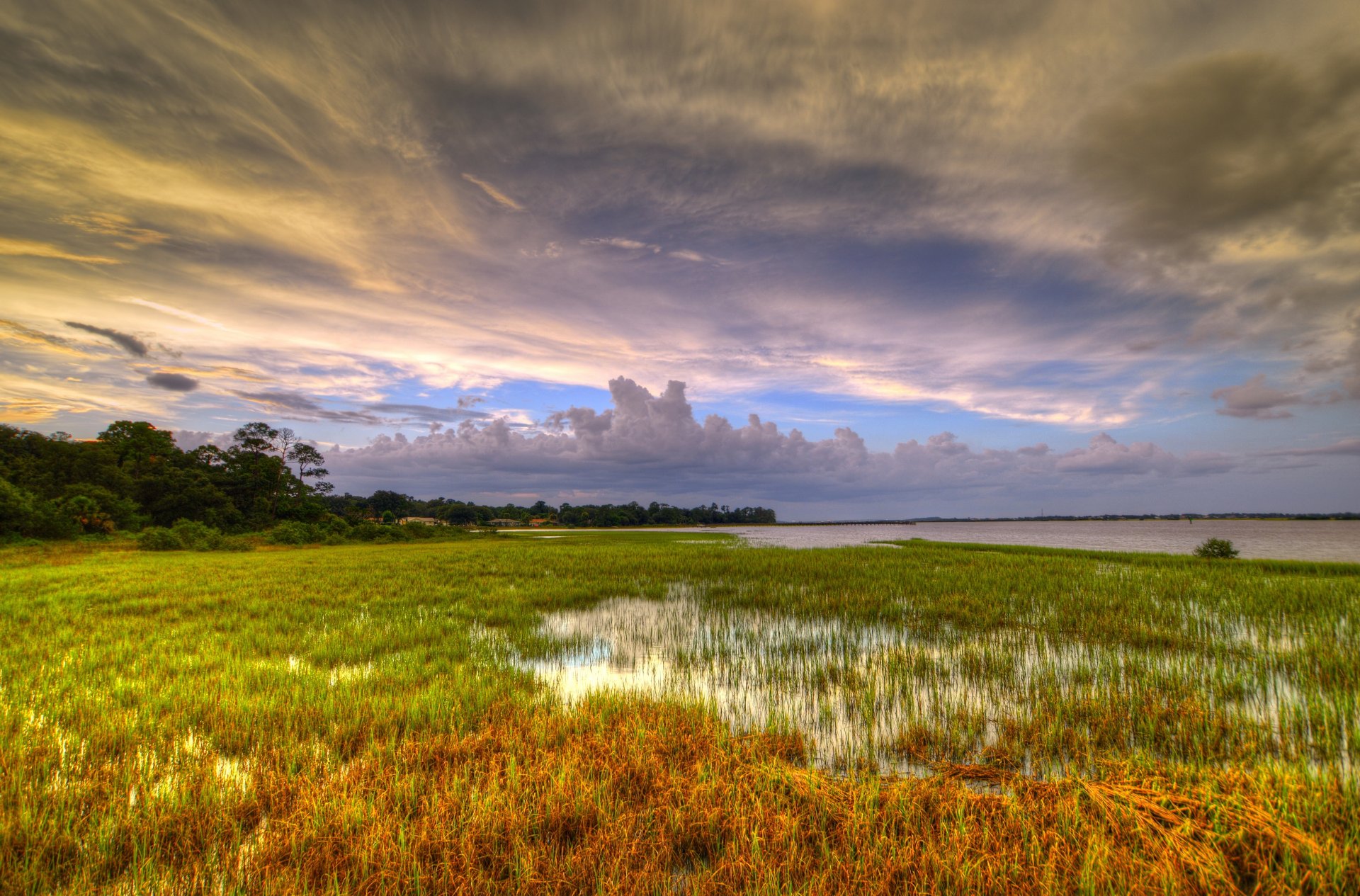 clouds lake grass tree