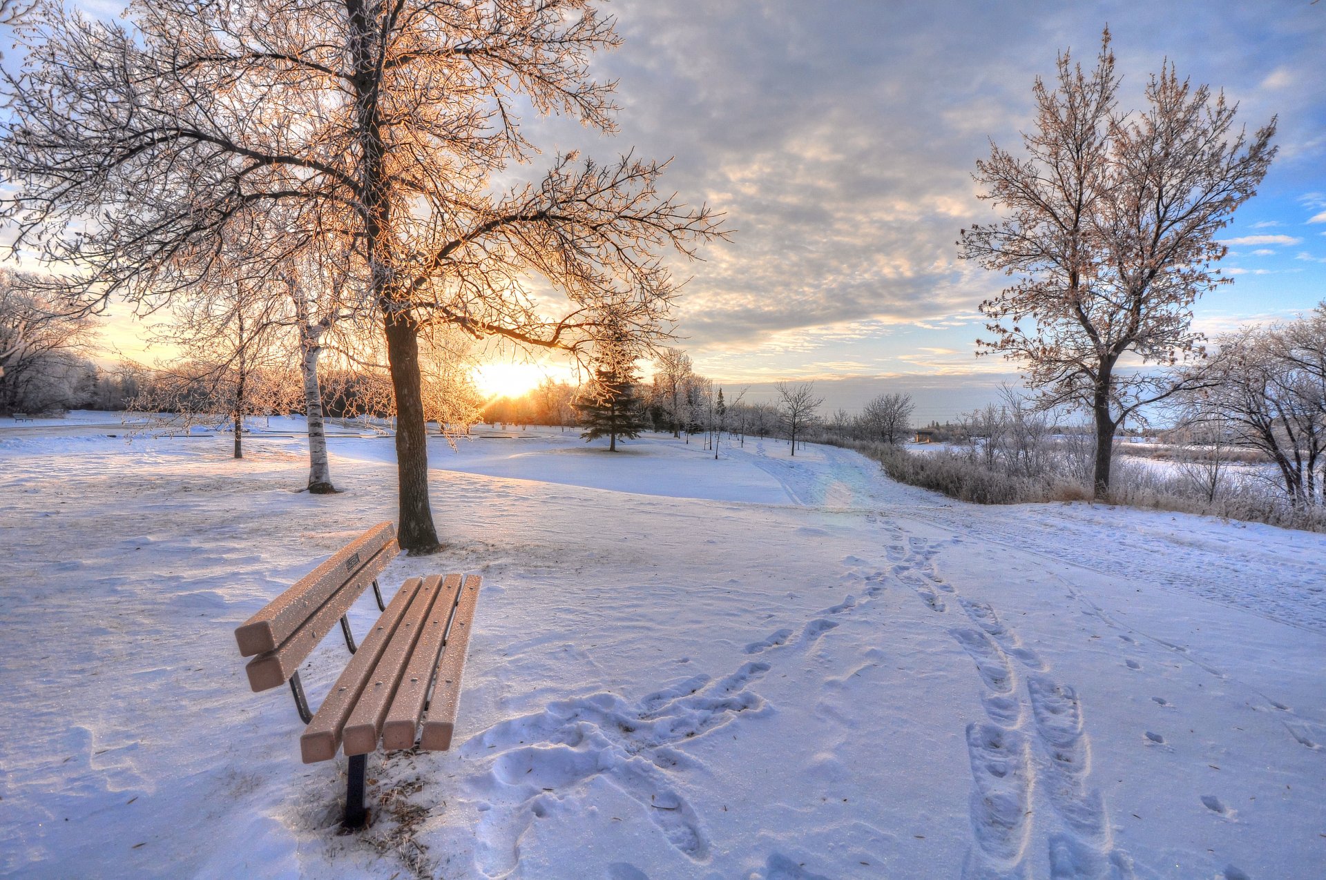 winter snow bench