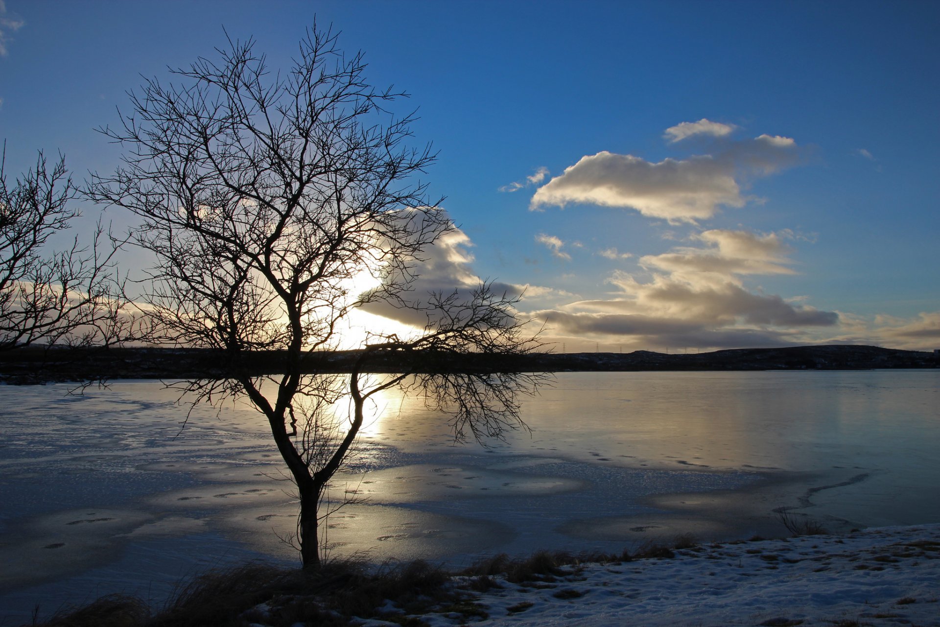 lago hielo invierno árbol sol nube puesta de sol