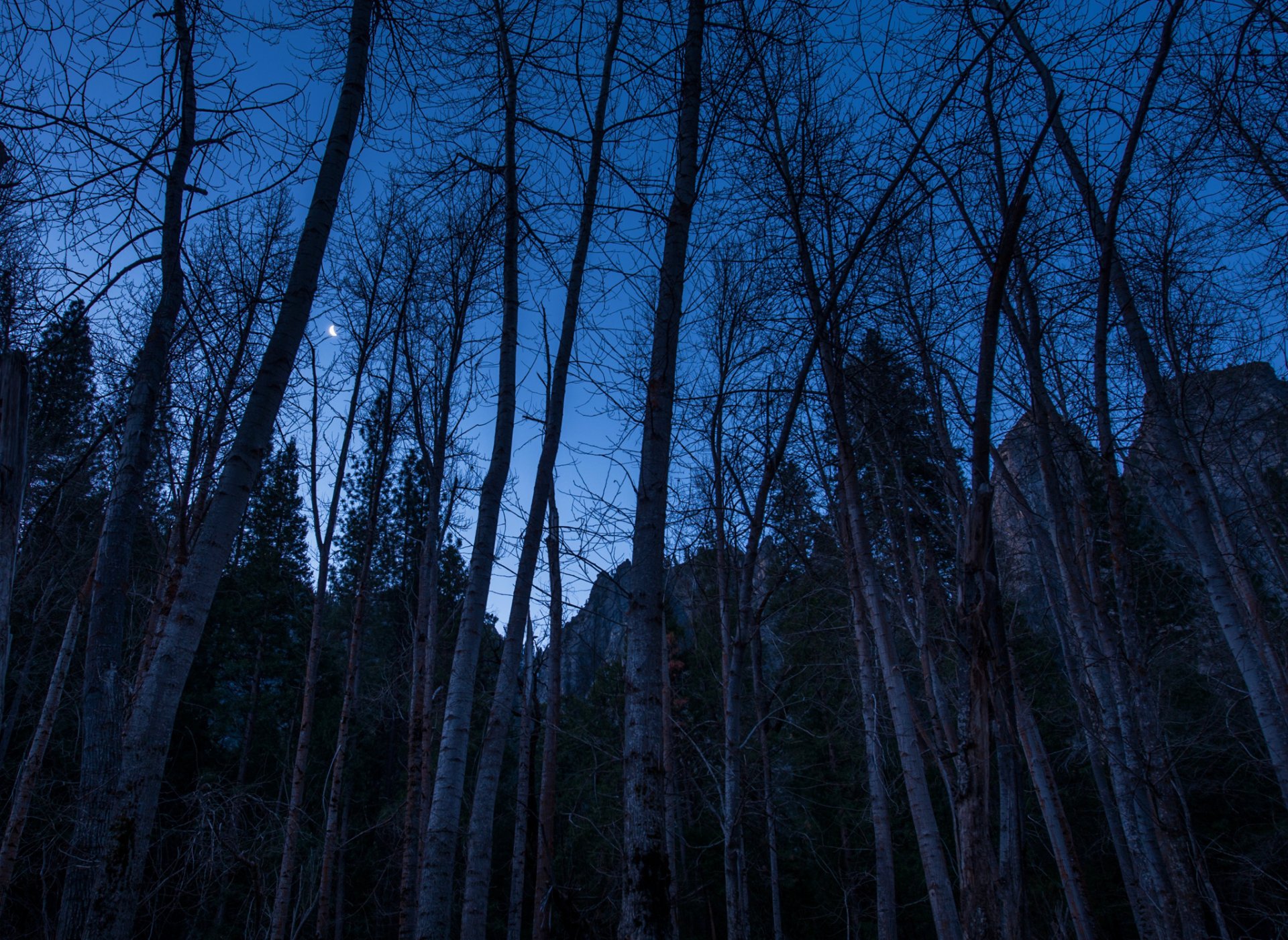 nuit ciel lune mois arbres montagnes rochers