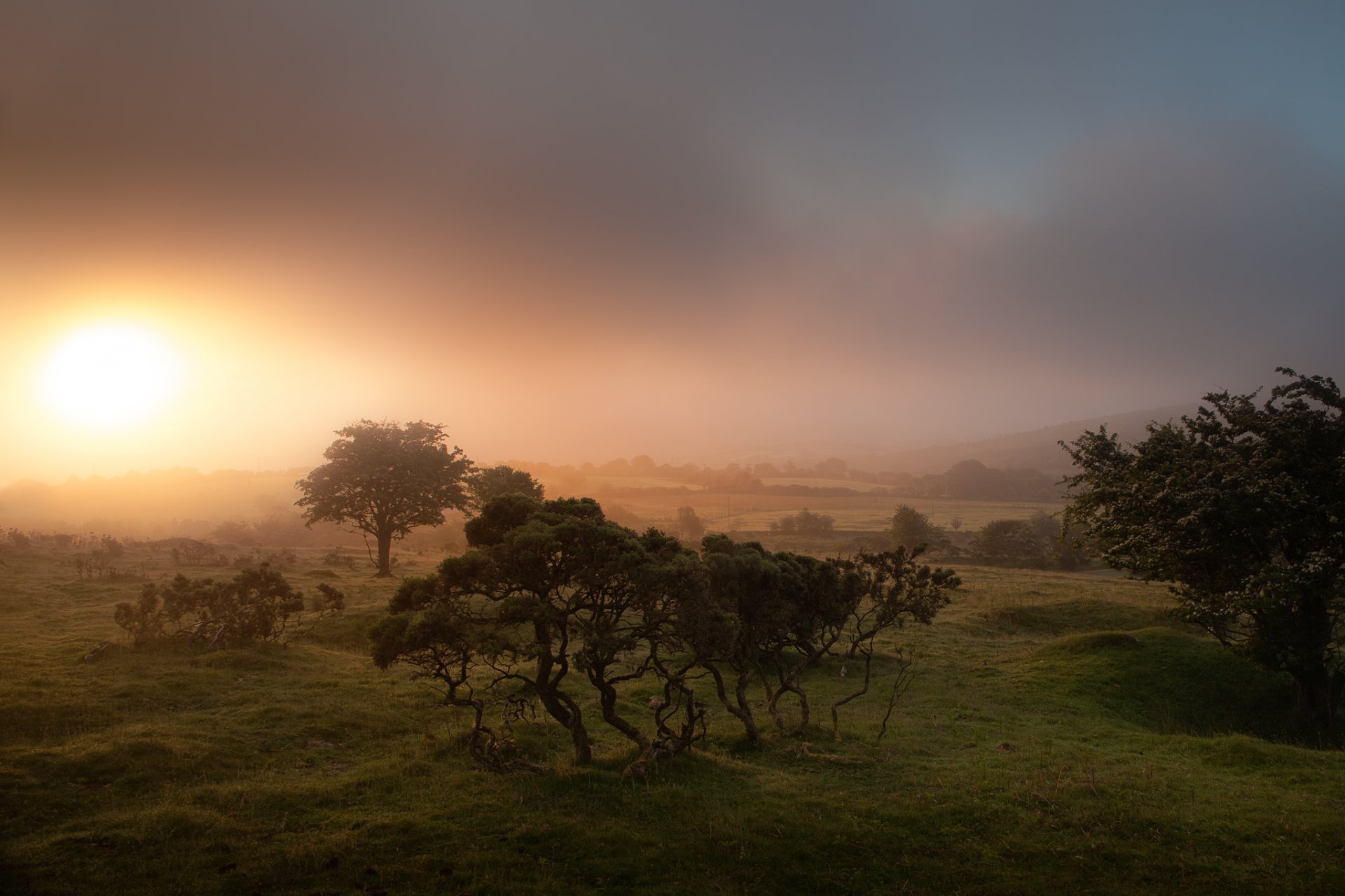 inghilterra cornovaglia alba nebbia