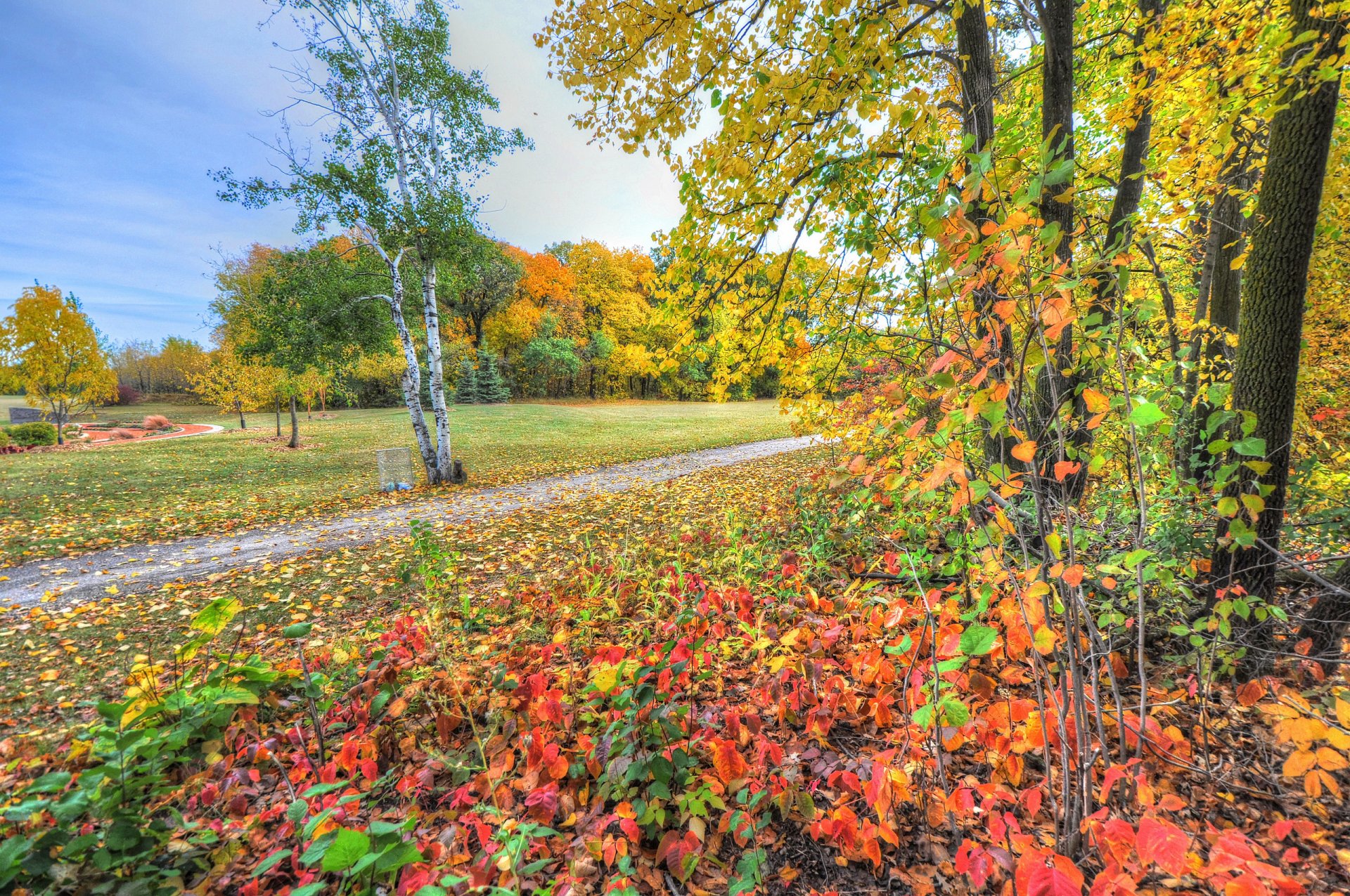 parque árboles hierba camino hojas otoño cielo