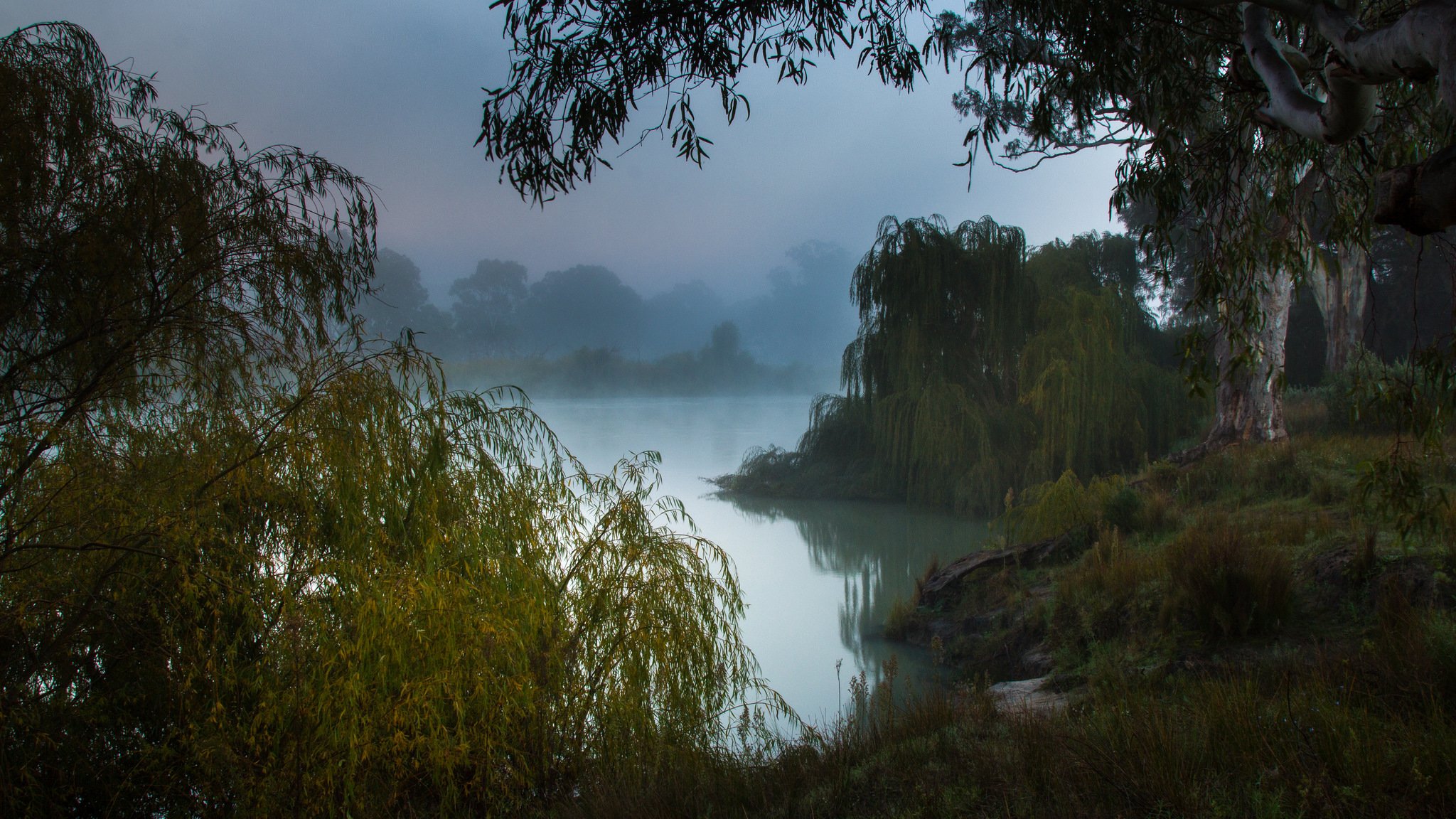 australia del sur río murray mañana brumosa