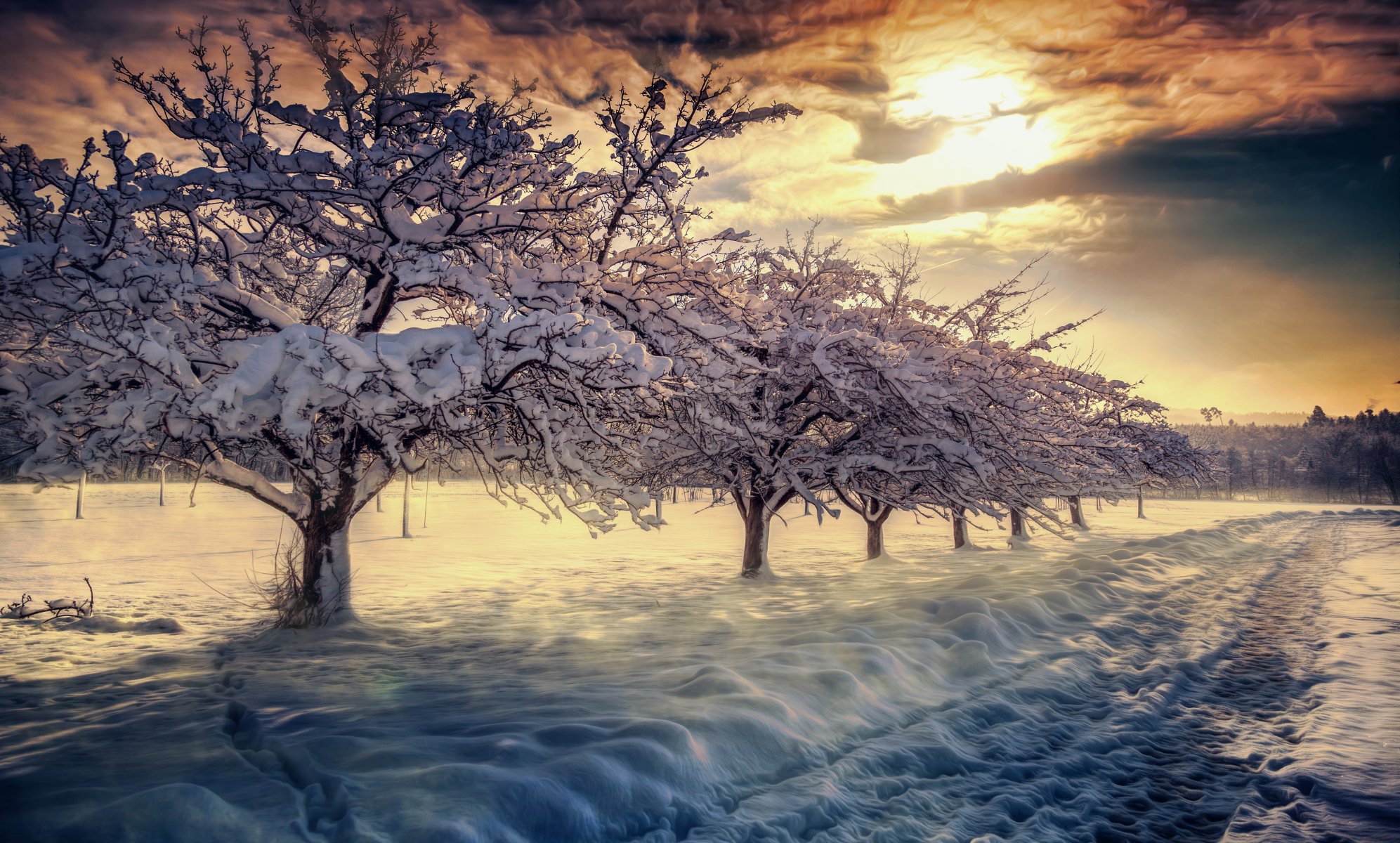 nature ciel nuages lever du soleil neige hiver paysage