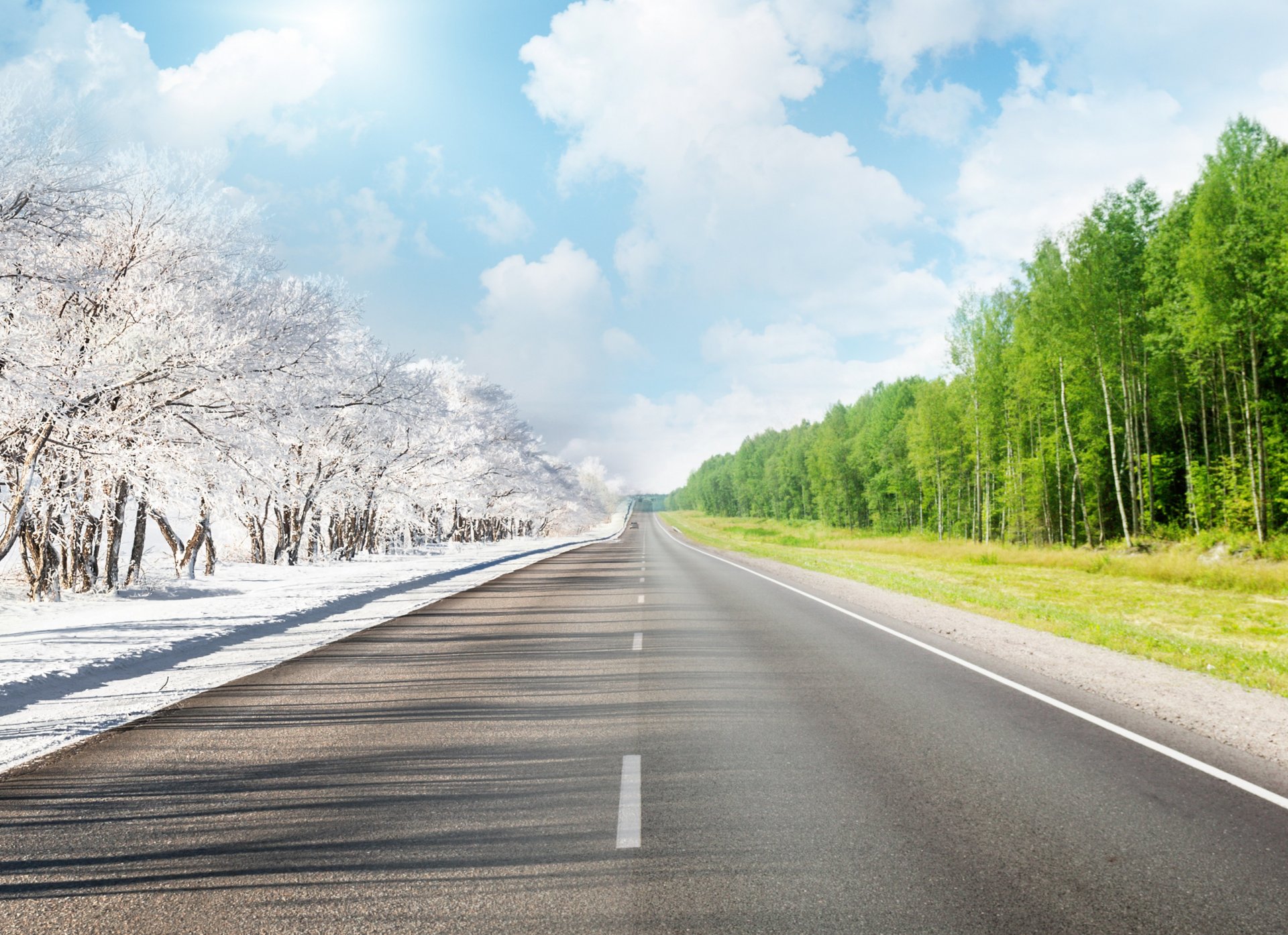 strada segnaletica orizzontale estate inverno alberi cielo