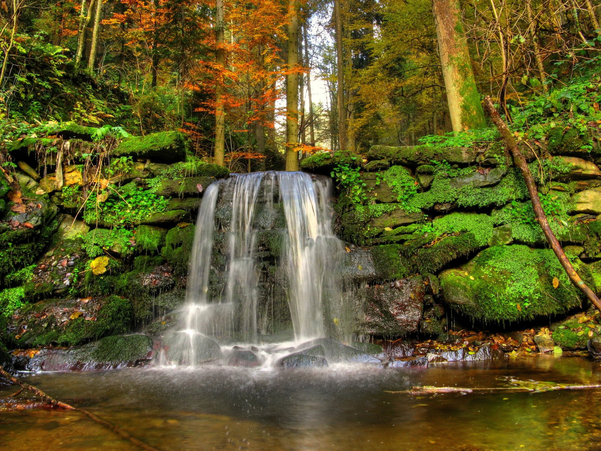 cascada bosque piedras paisaje musgo arroyo árboles naturaleza