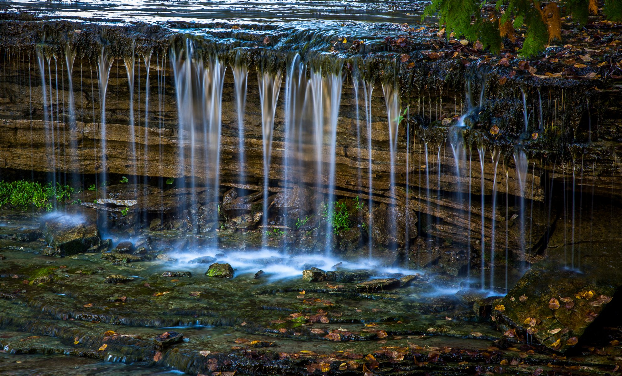 ruisseau ruisseau cascade pierres automne feuilles