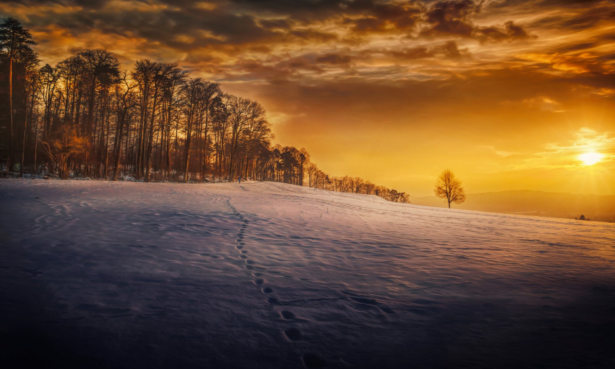 weg schnee bäume verarbeitung