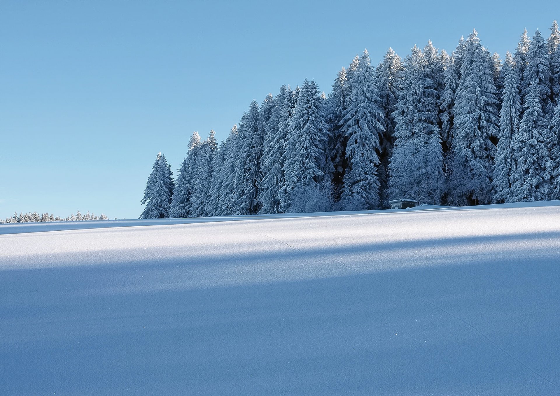 hiver neige forêt maison givre