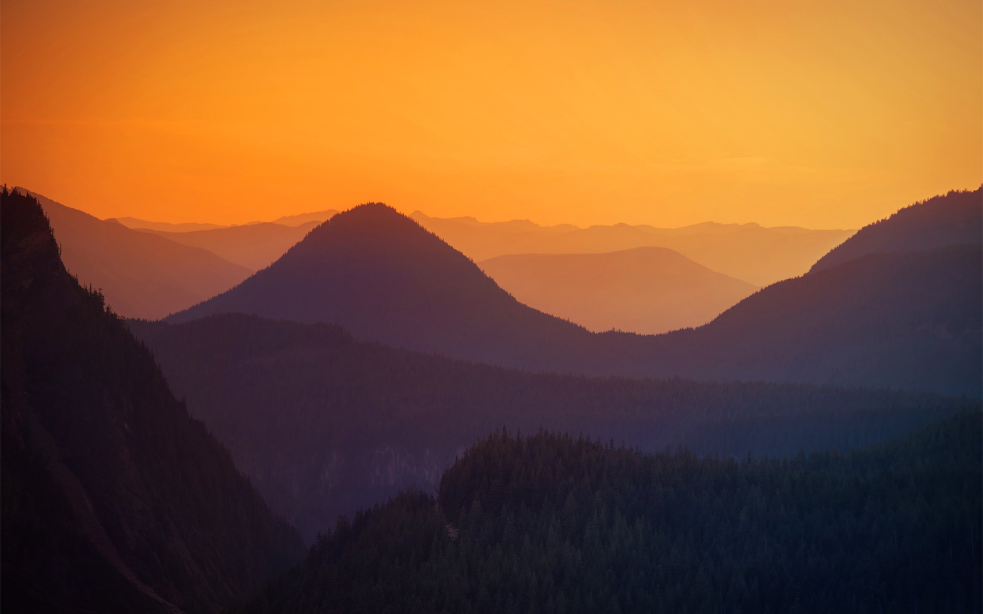 collines coucher de soleil arbres vue