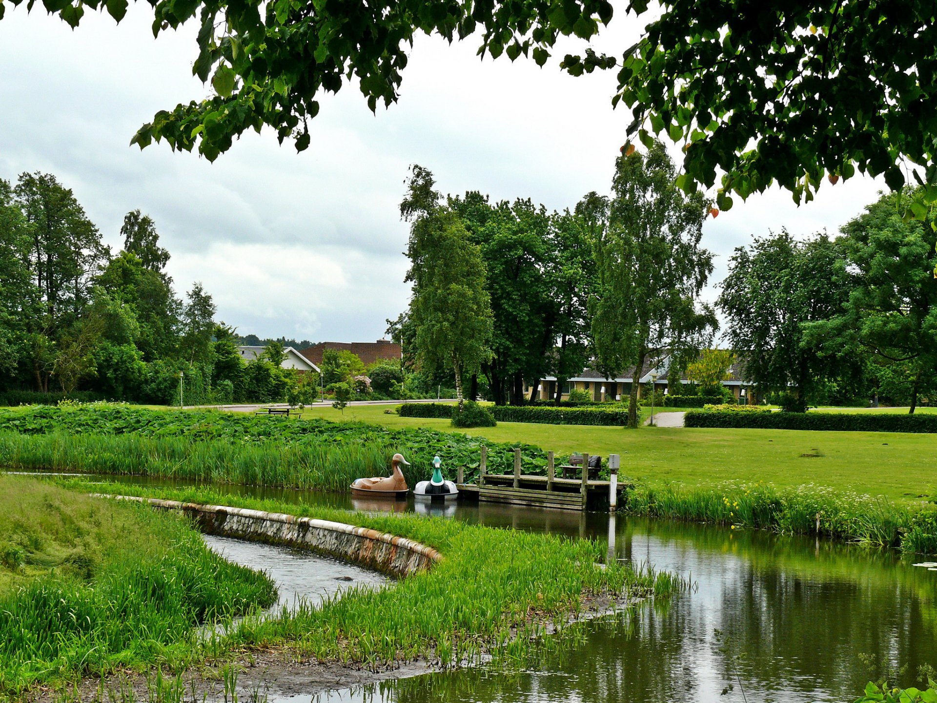 landscape denmark pond syddanmark nature photo