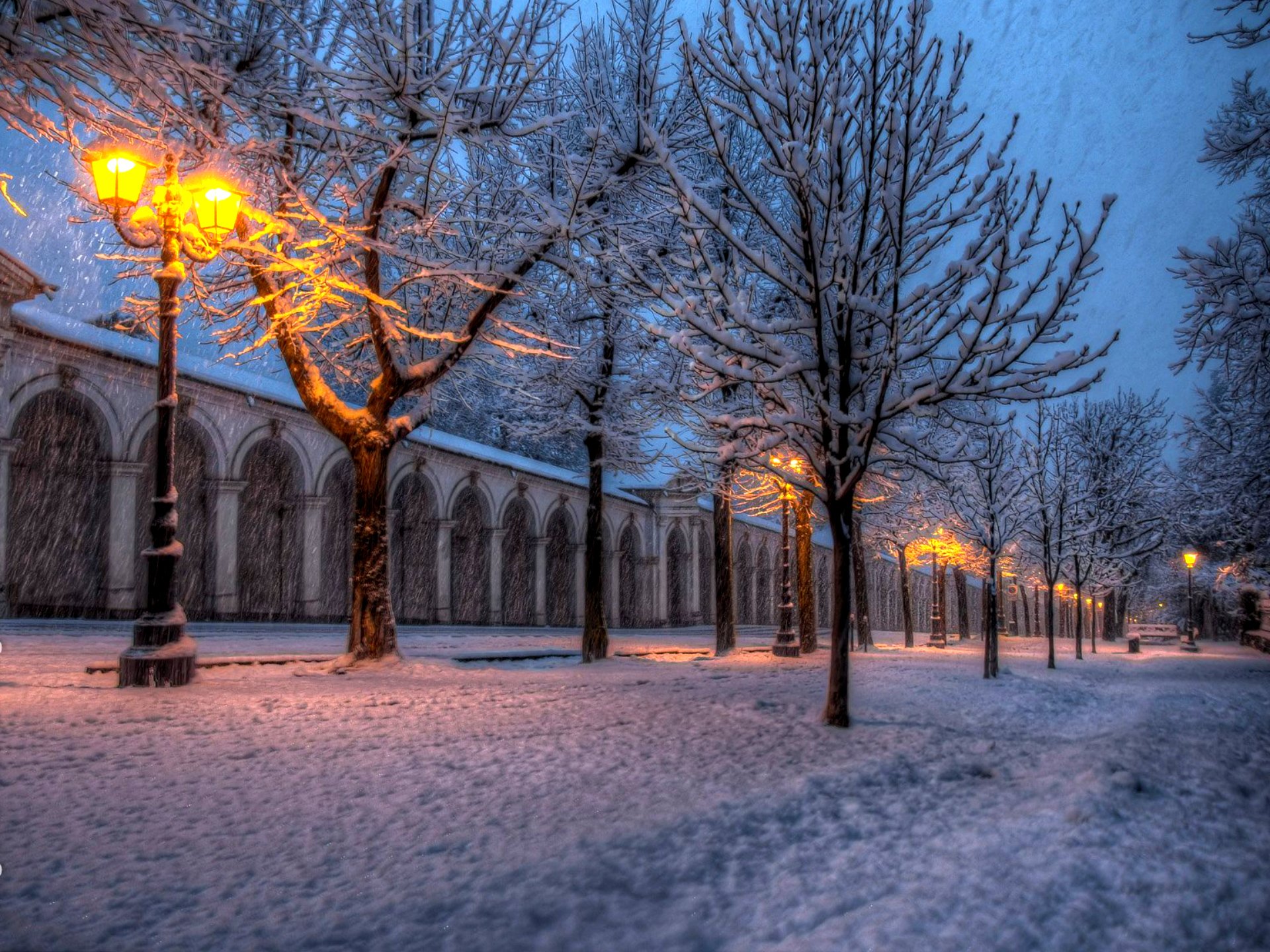 natura inverno neve alberi