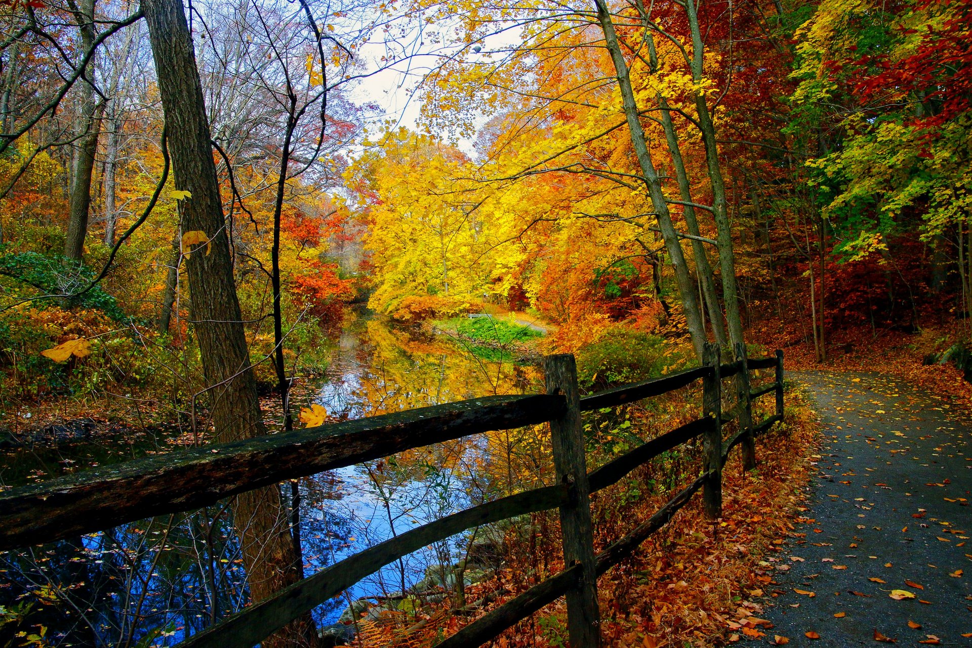 natur landschaft wald bäume herbst fluss herbst ansicht park herbst