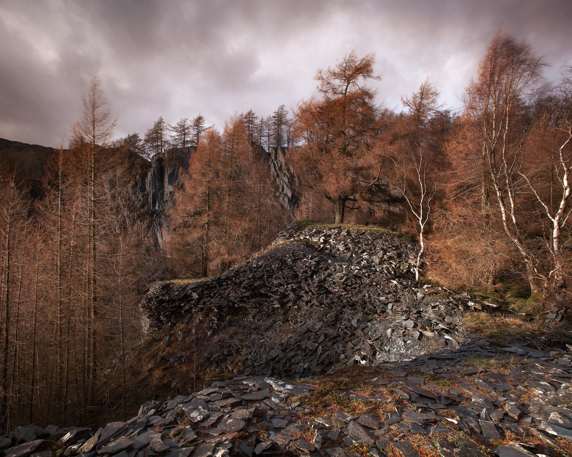 forest stones wind