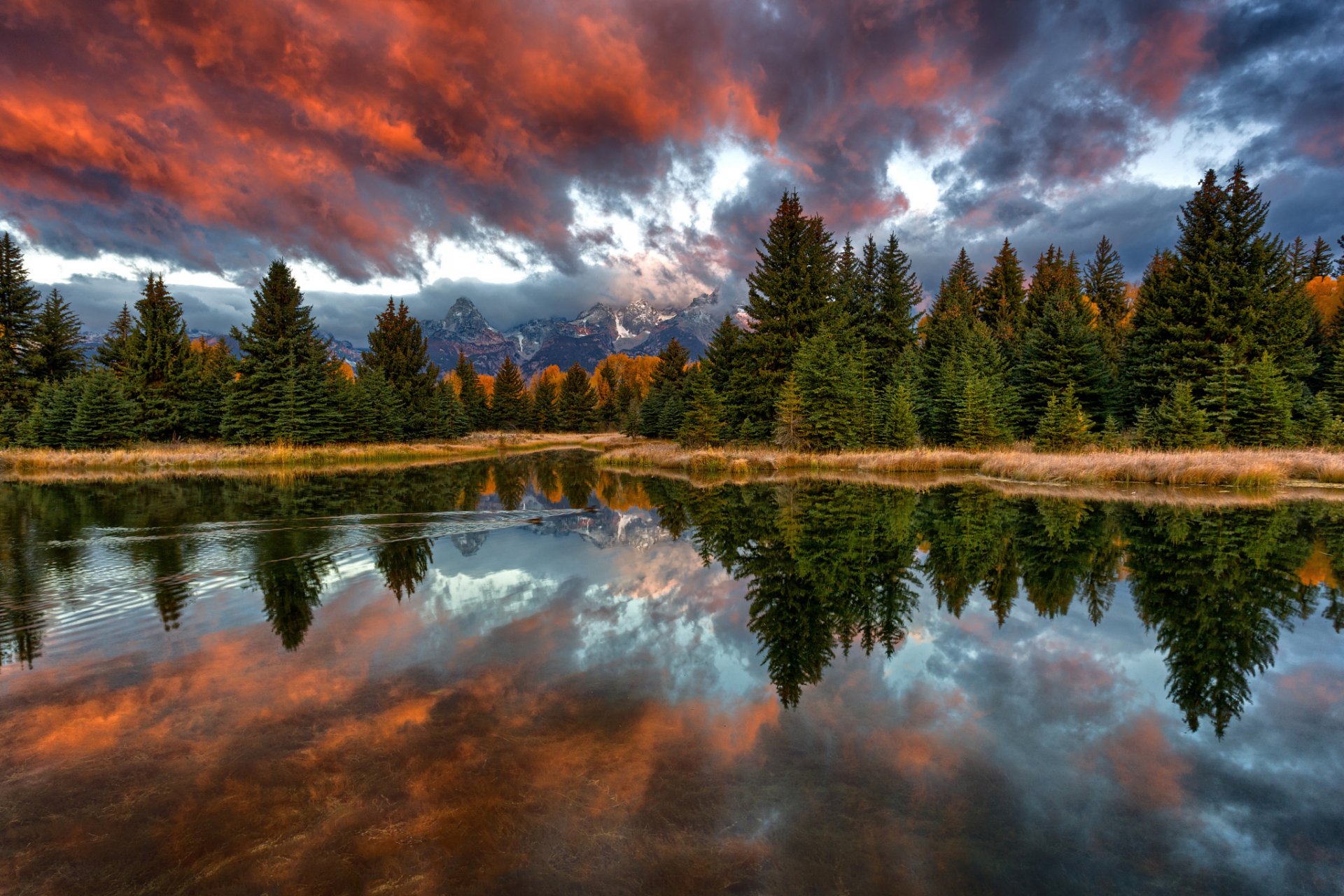 natura u. s. a. wyoming parco nazionale di grand teton fiume snake schwabachers di atterraggio mattina foresta montagne cielo nuvole riflessioni anatre