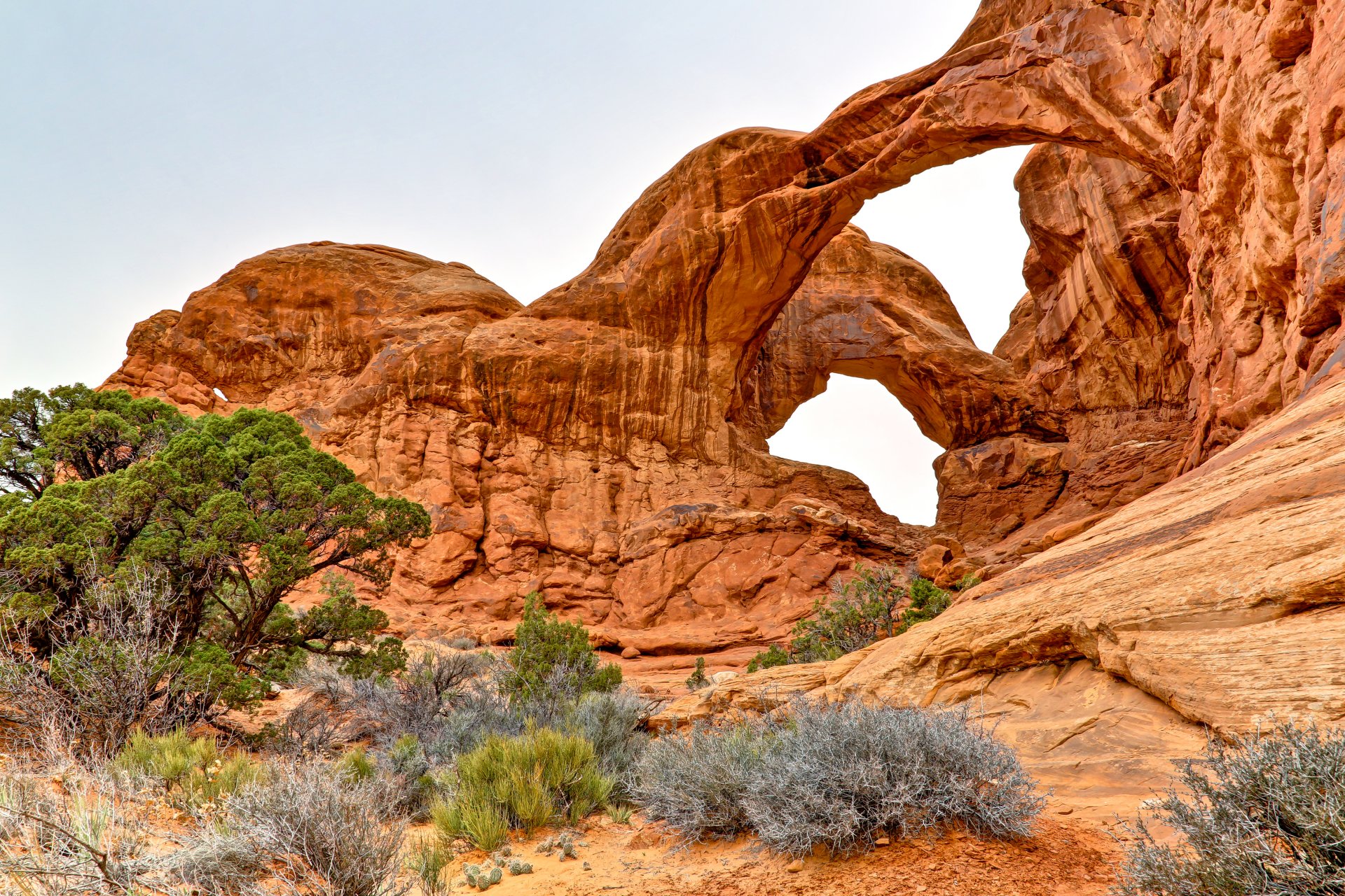 arches national park usa rocks arch sky trees bushe