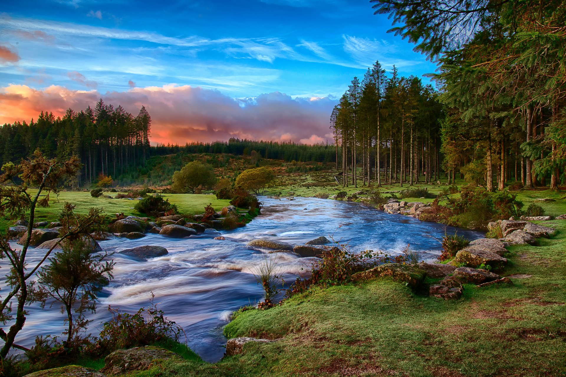 sud-ouest de l angleterre comté de devon parc national de dartmoor forêt rivière matin nuages