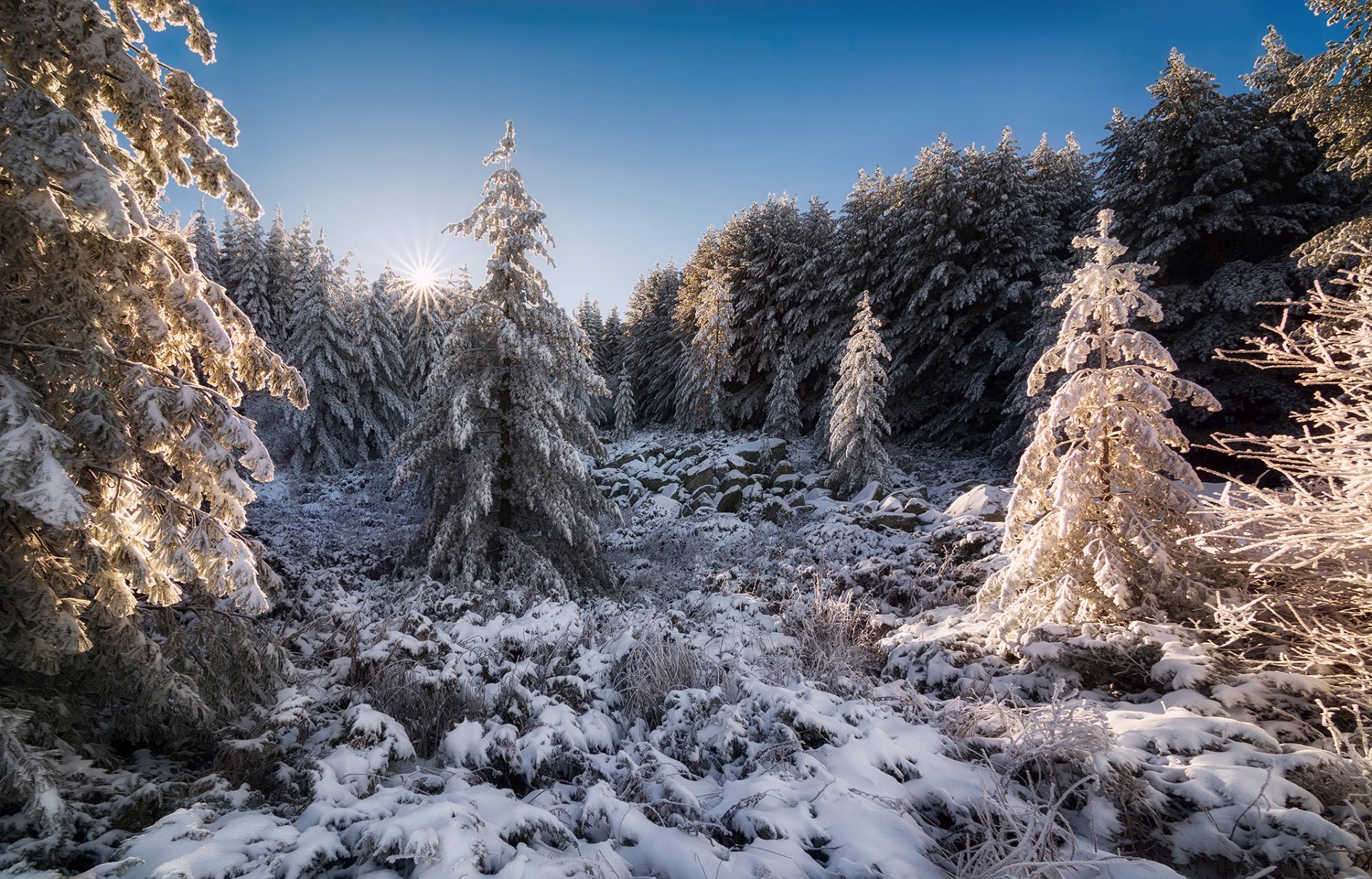 bulgaria cordillera vitosha bosque nieve sol otoño noviembre