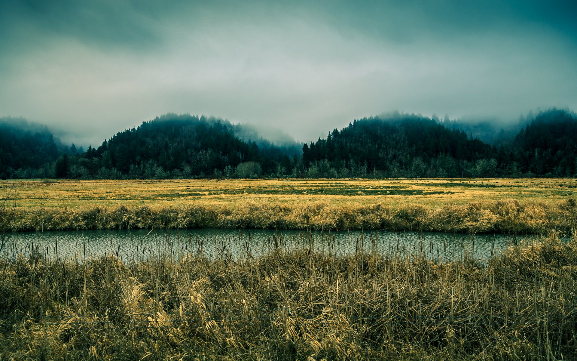 oregon cielo niebla río árboles