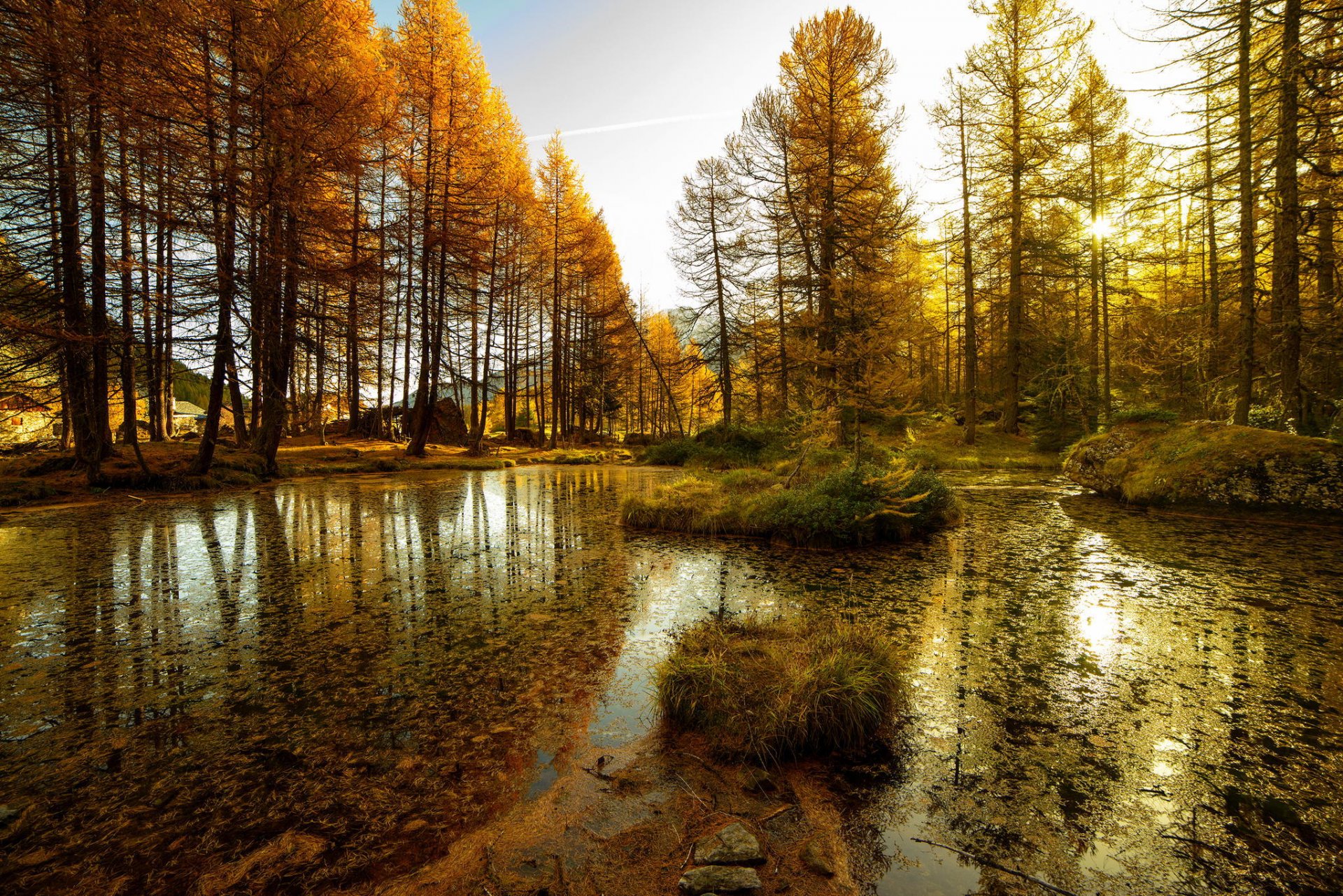 nature forêt arbres. étang lac eau tina automne