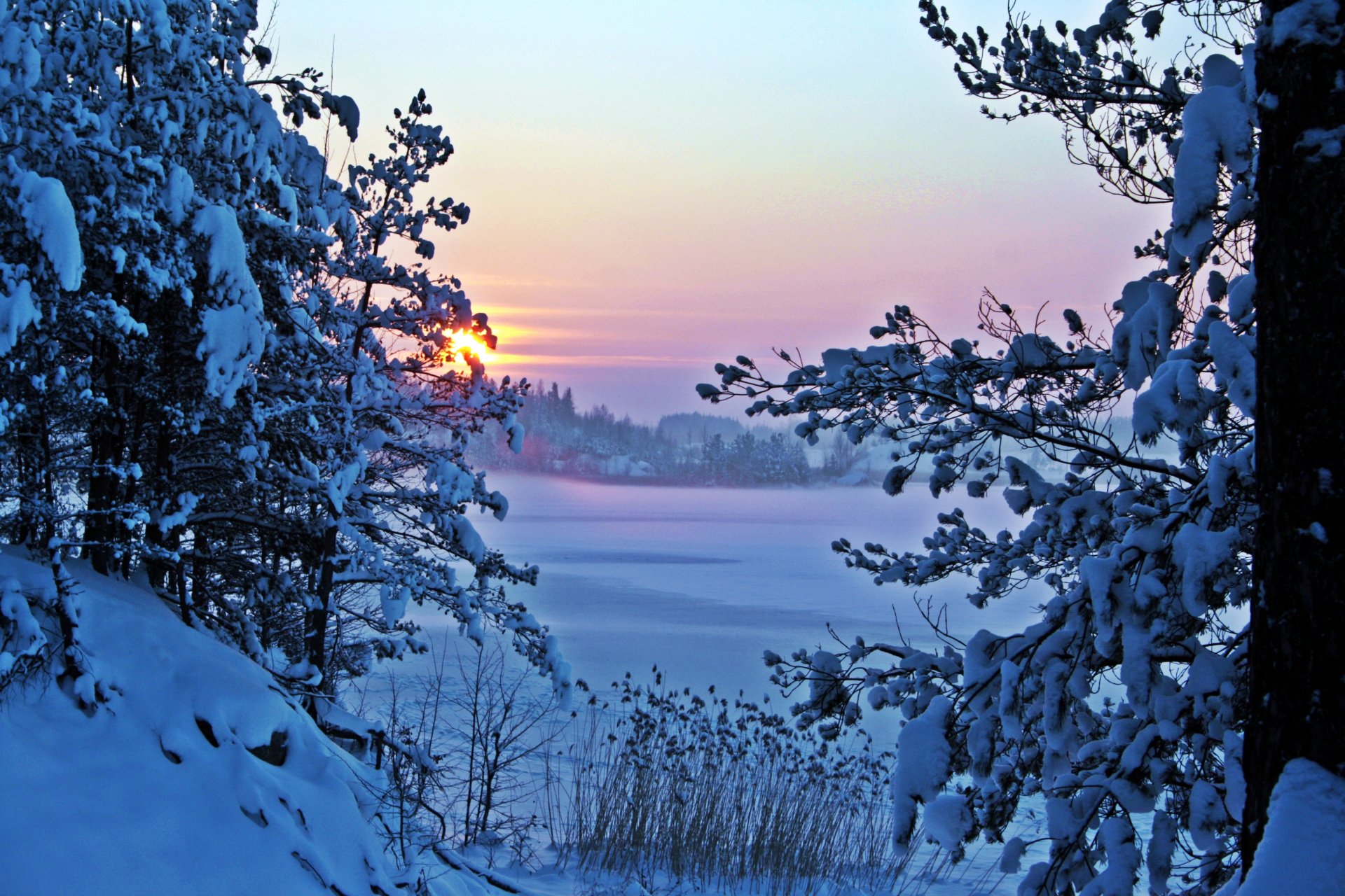 mattina neve inverno natura