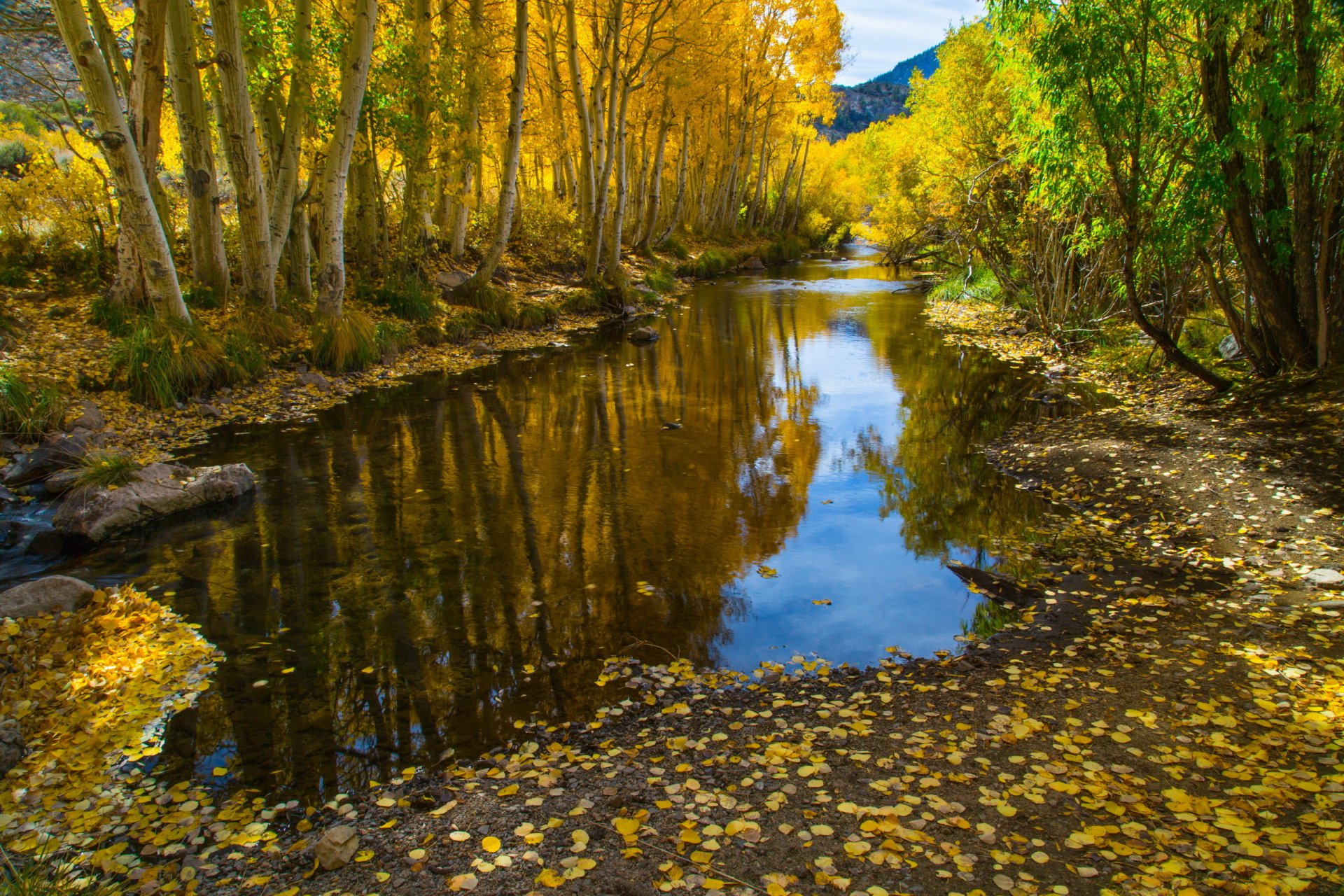 river autumn nature landscape