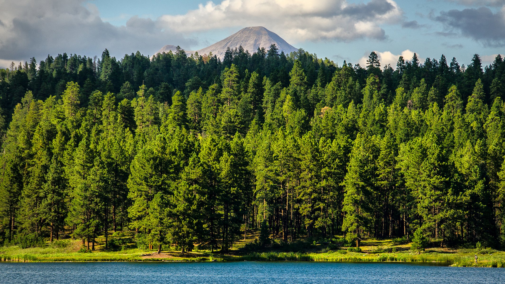 alberi montagna acqua