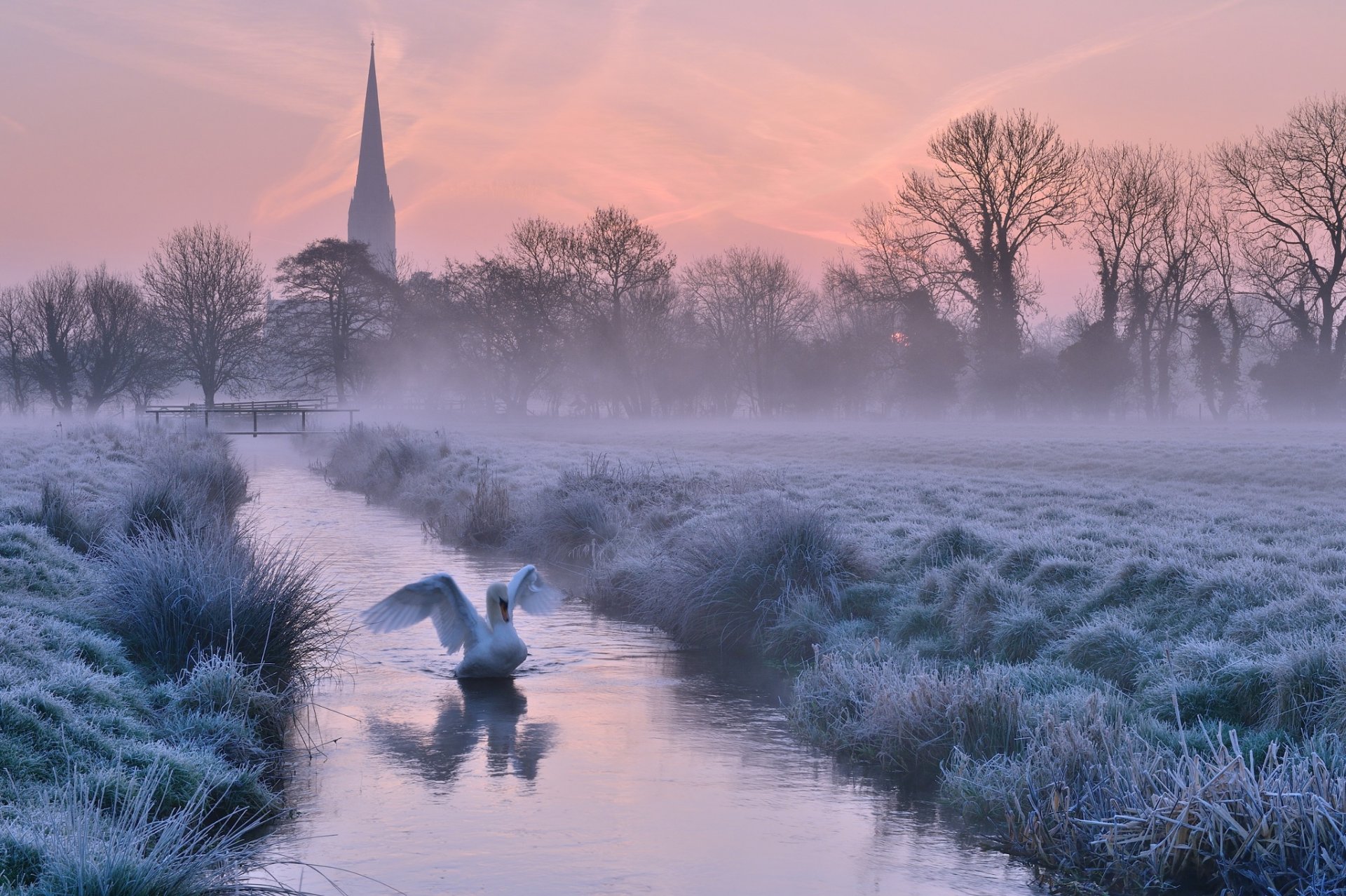 regno unito inghilterra inverno gelo nebbia cattedrale alberi fiume uccello cigno sera tramonto arancione cielo