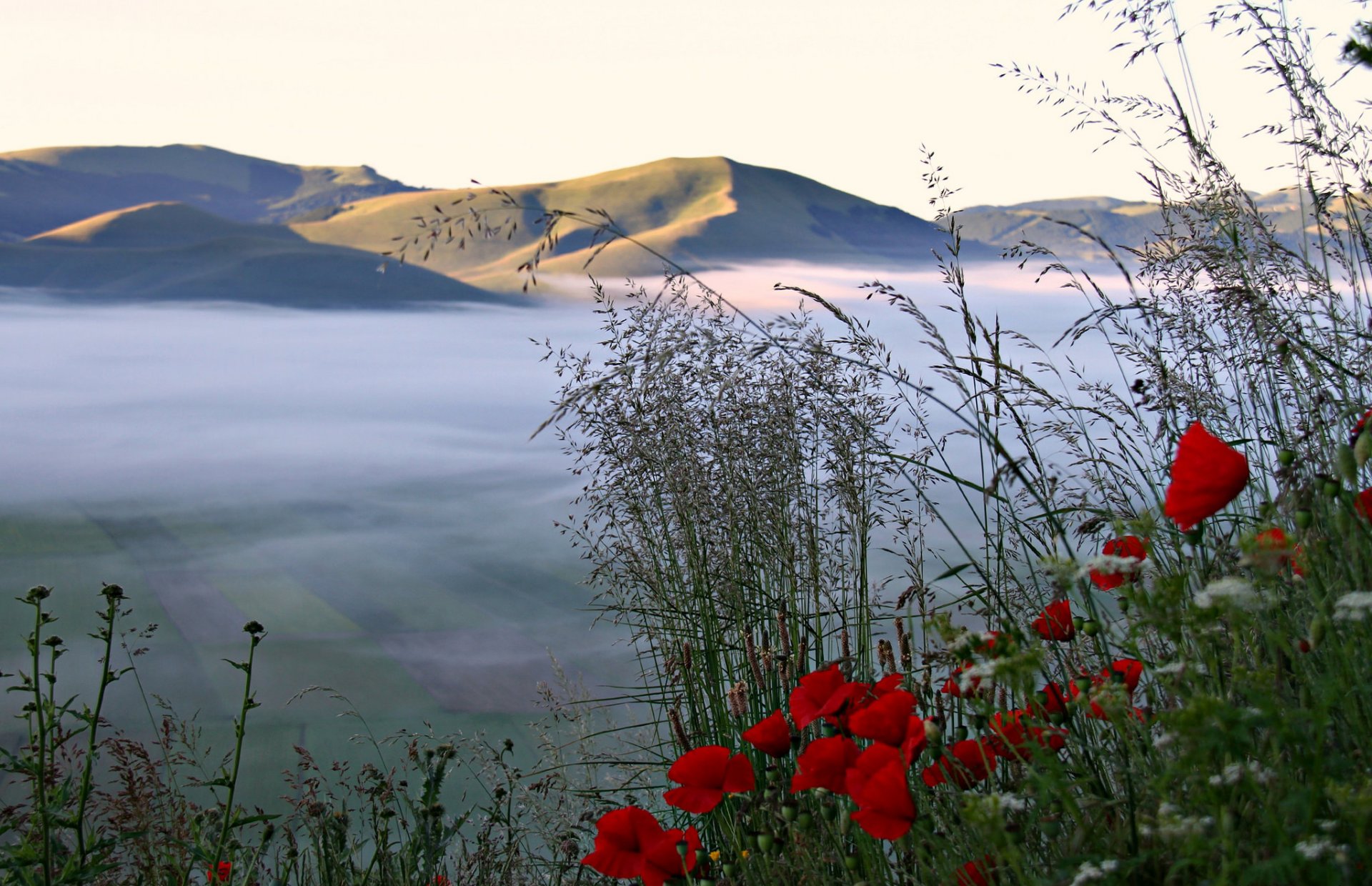 cielo montagne valle campi nebbia erba fiori papaveri