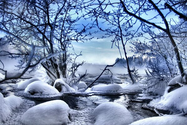 Schneebedeckte Steine und Bäume auf Himmelshintergrund