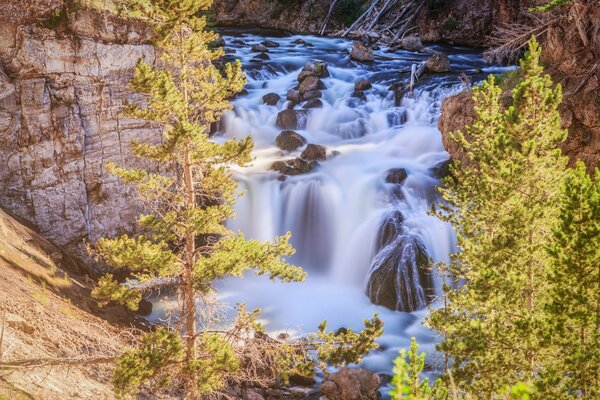 Wasserfall zwischen Felsen und hohen Bäumen