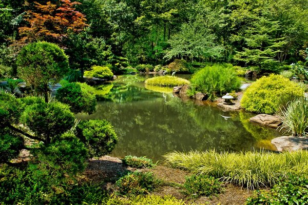 Teich tief im Wald