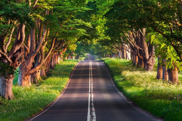 Straße Sommer Naturpark