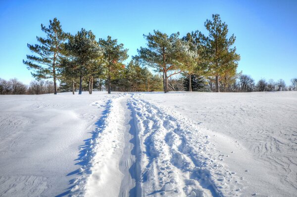 Chemin piétiné dans la neige par une journée d hiver