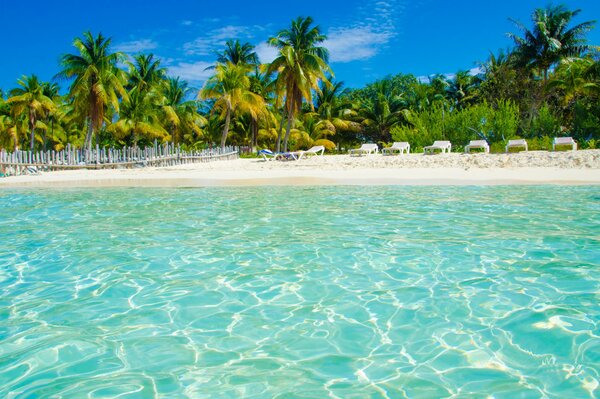 Plage de l île tropicale et mer turquoise