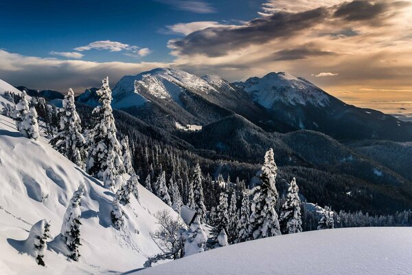 Winter view of the mountains surrounded by forest