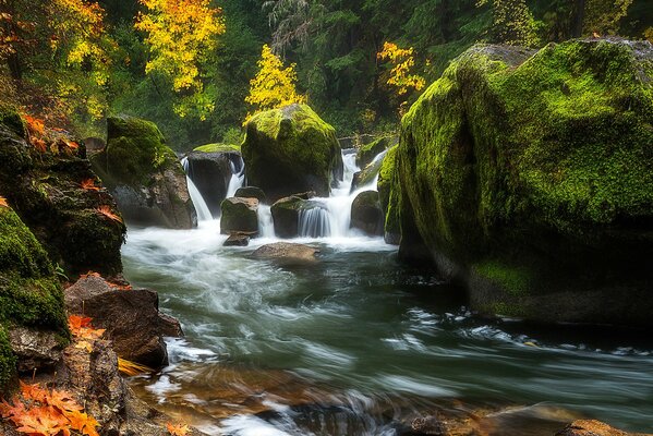 Flujo del río entre las rocas