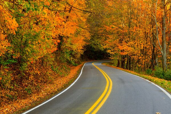 Der Weg in den schönen und goldenen Herbst