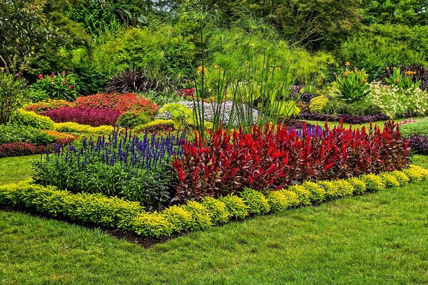 Fiori colorati in un aiuola nel parco