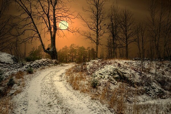 Snow-covered path at sunset